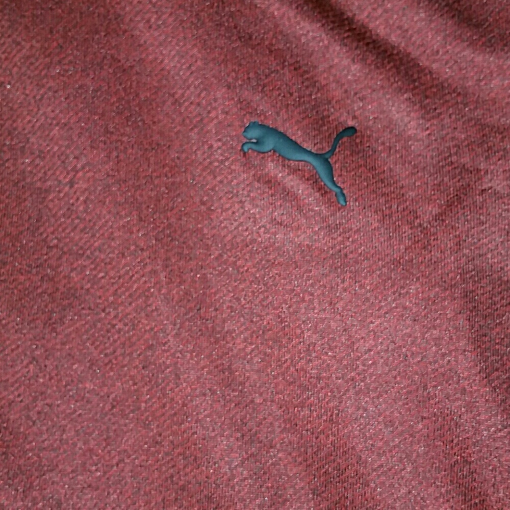 Puma Hoodie
